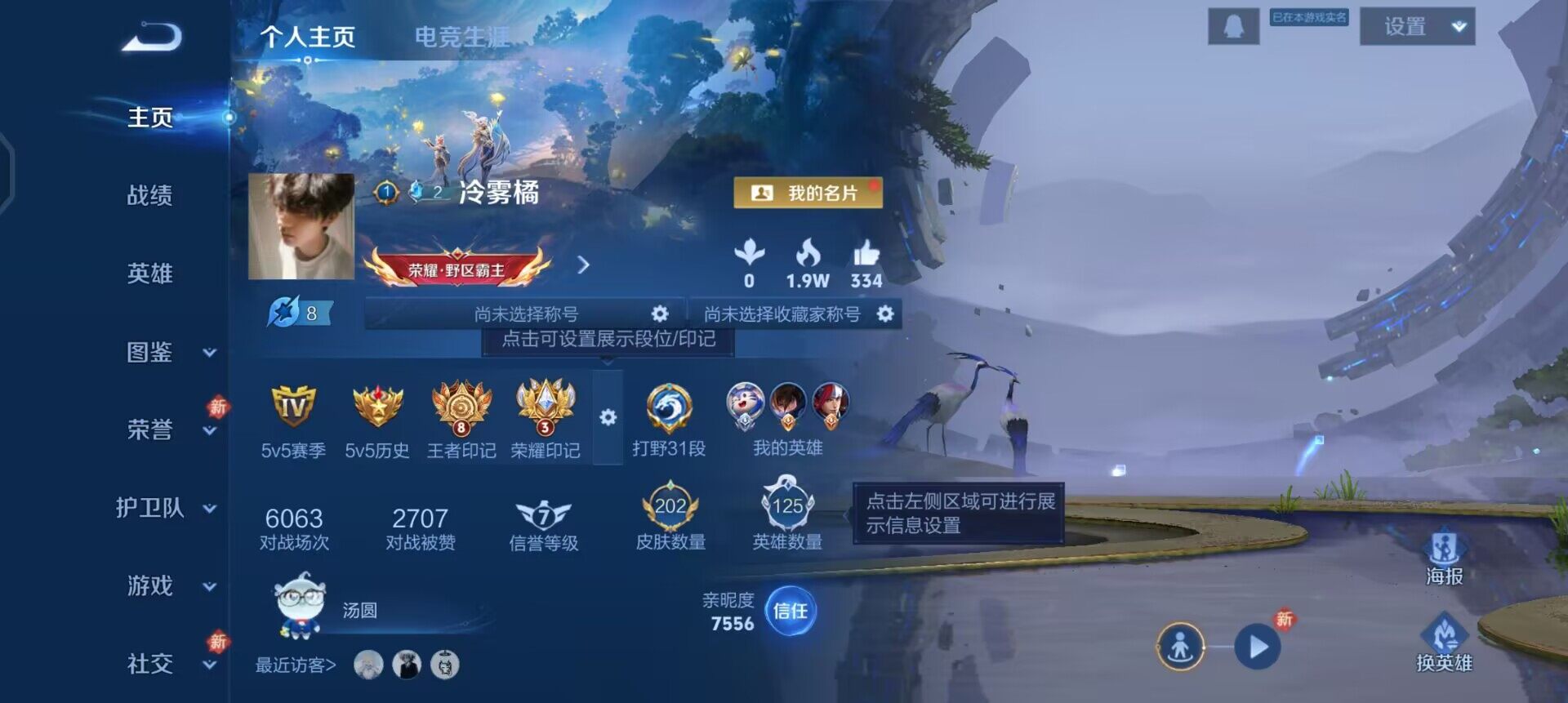 WZQM4234703王者荣耀账号详情图3