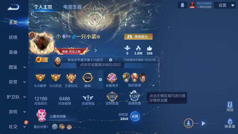 WZLX4232340王者荣耀账号详情图15