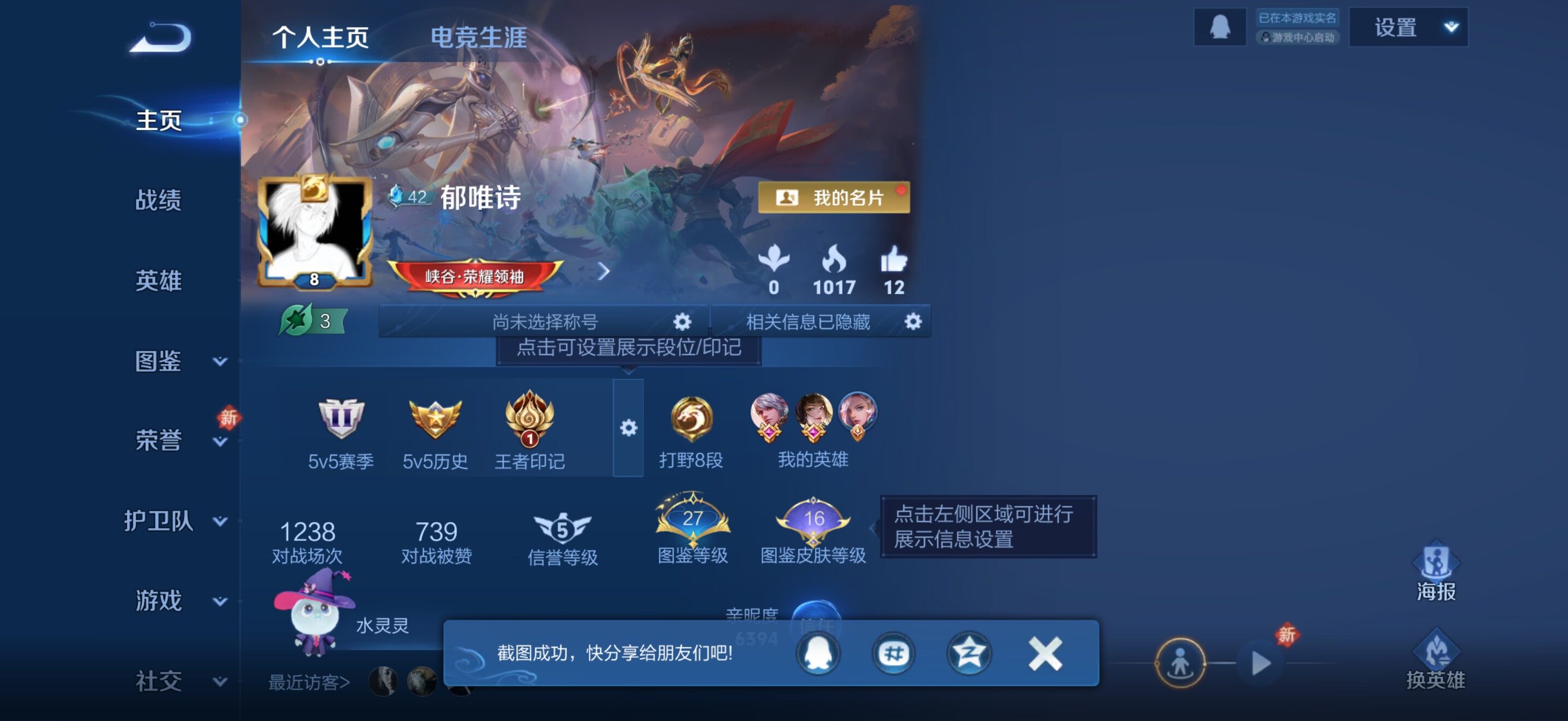 WZJZ4238273王者荣耀账号详情图7