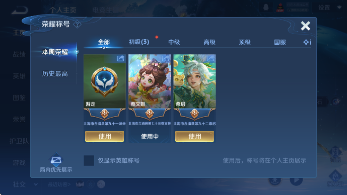 WZLX4234863王者荣耀账号详情图9