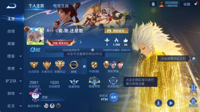 WZLX4234869王者荣耀账号详情图6