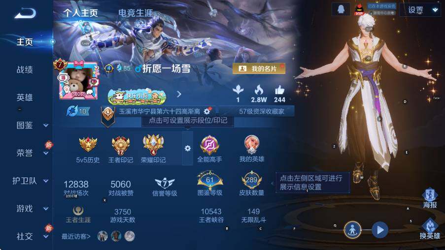 WZLX4235084王者荣耀账号详情图11