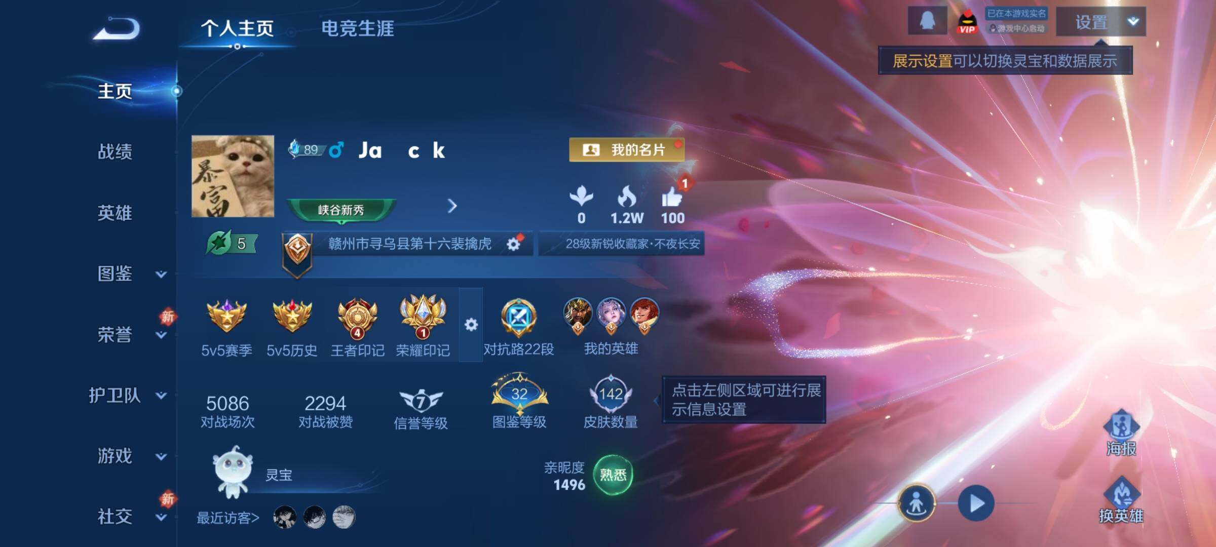 WZLX4236157王者荣耀账号详情图2