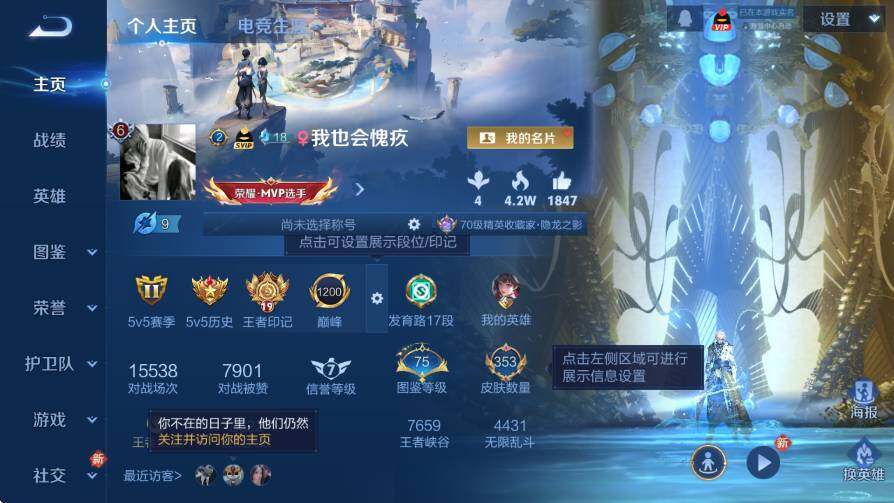 WZLX4235382王者荣耀账号详情图11