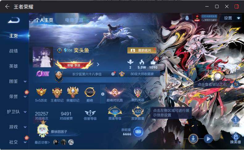 WZLX4235791王者荣耀账号详情图9