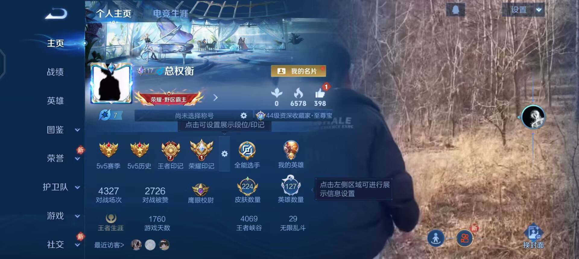 WZLX4239673王者荣耀账号详情图2