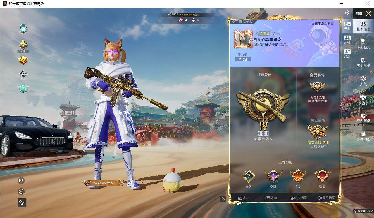 HPLE4131324和平精英账号详情图5