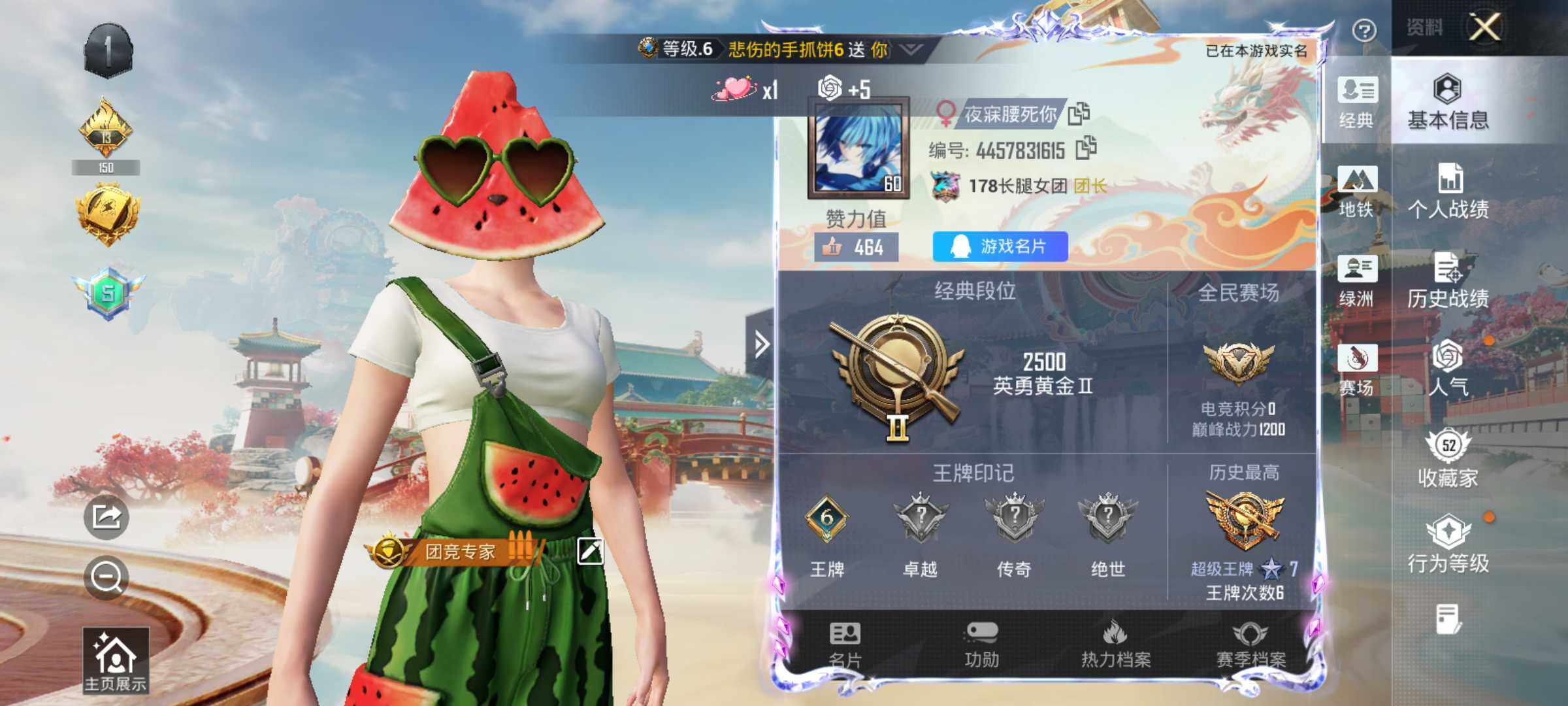 HPLE4131369和平精英账号详情图6