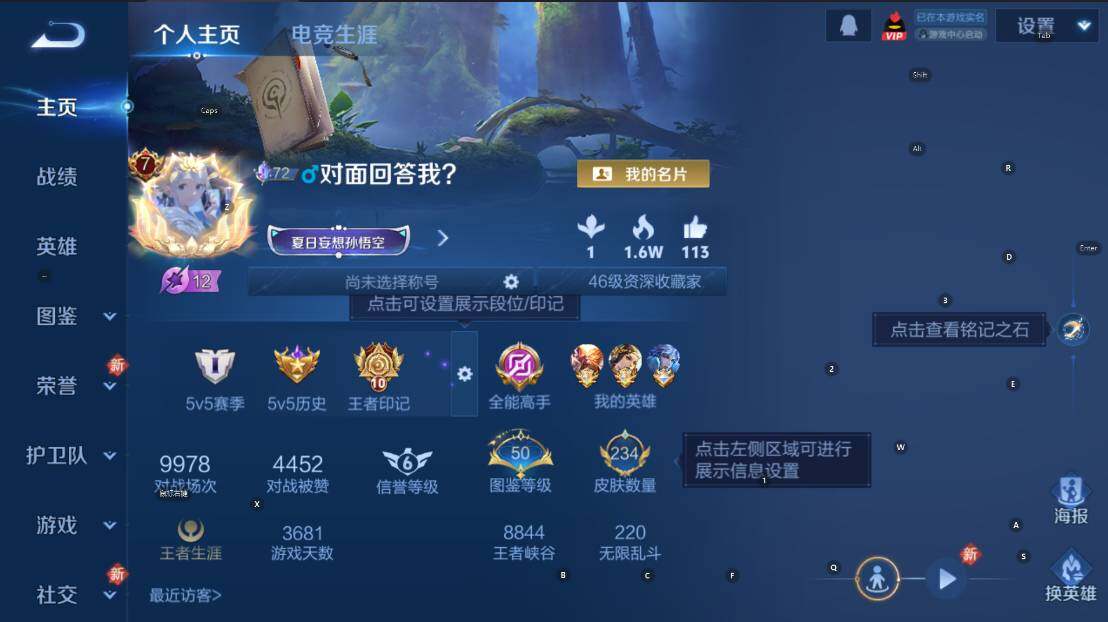 WZCMW4246343王者荣耀账号详情图6