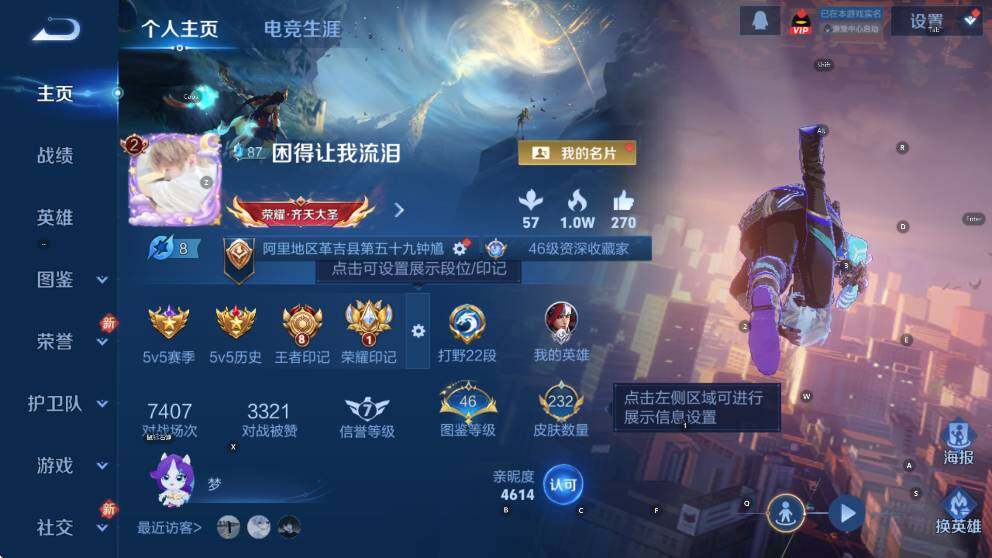 WZLX4237833王者荣耀账号详情图11