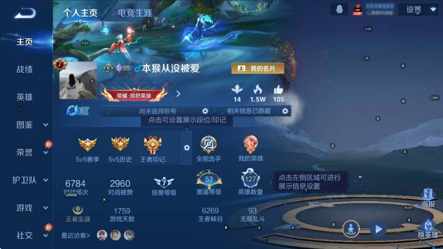 WZLX4237869王者荣耀账号详情图9