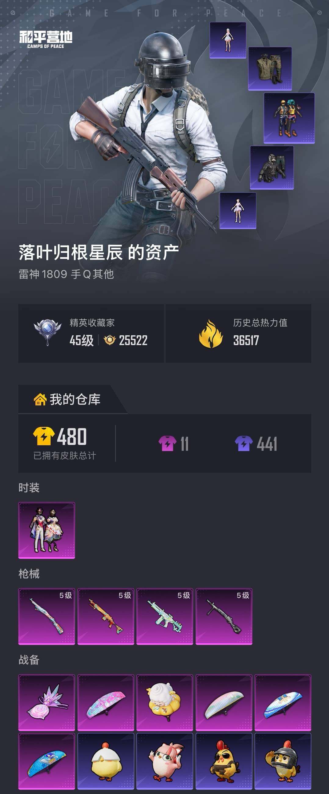 HPCMW4137819和平精英账号详情图4