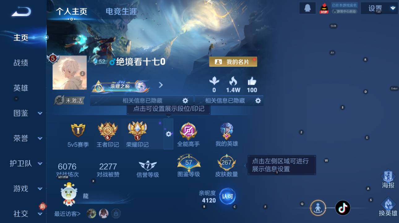 WZLX4240095王者荣耀账号详情图8