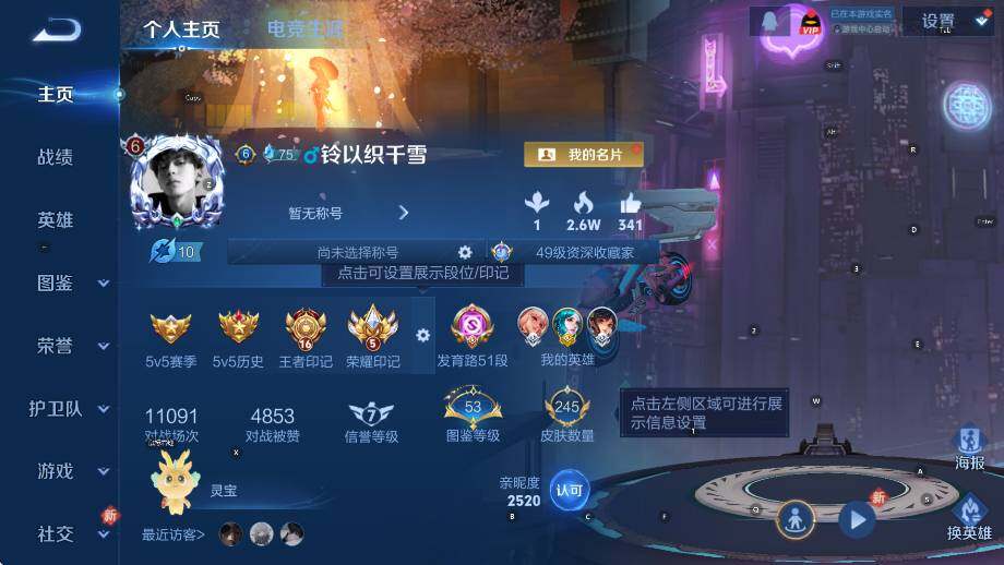 WZLX4241116王者荣耀账号详情图9