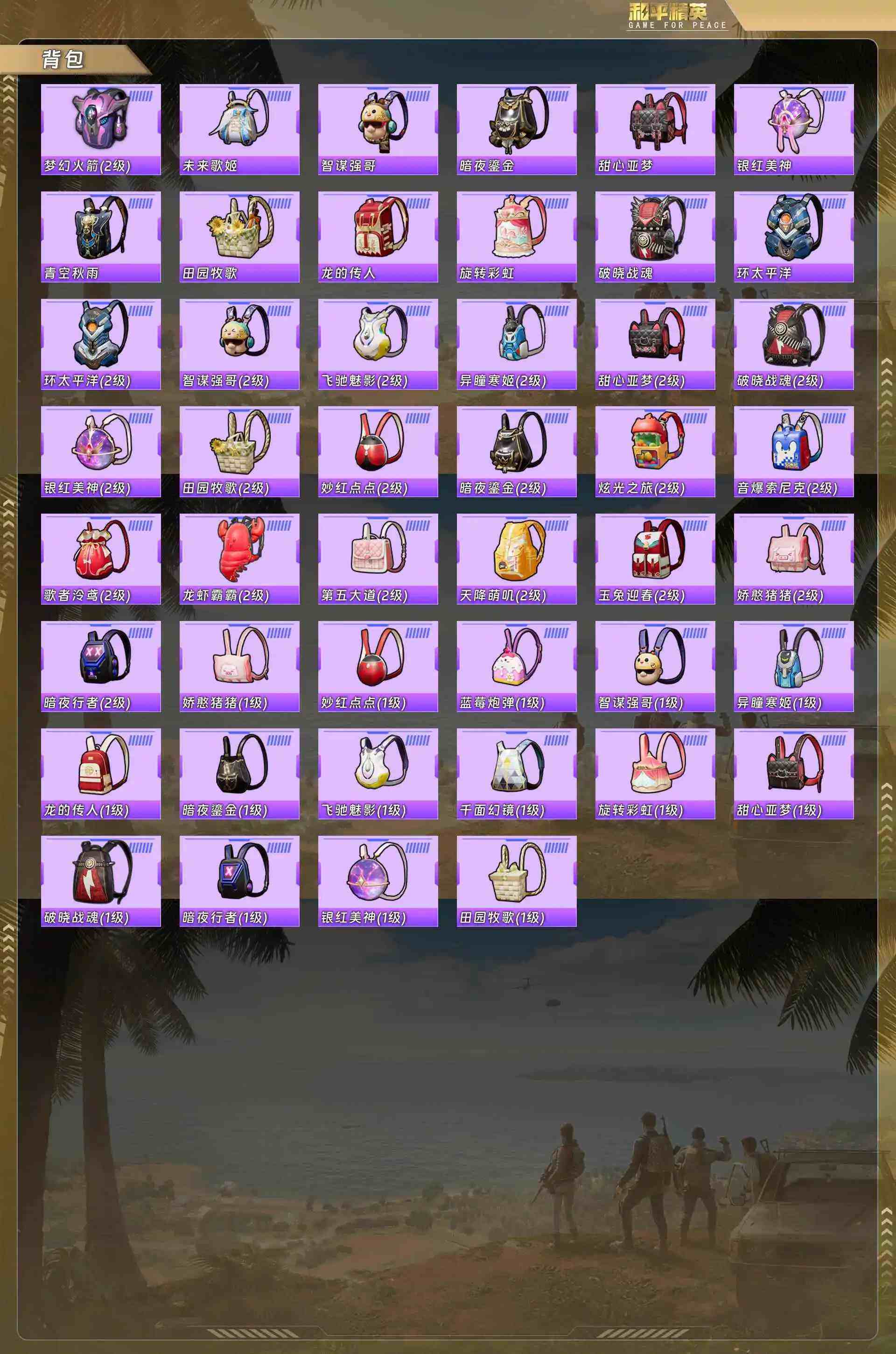 HPCMW4162535和平精英账号详情图9 HPCMW4162535和平精英账号详情图9