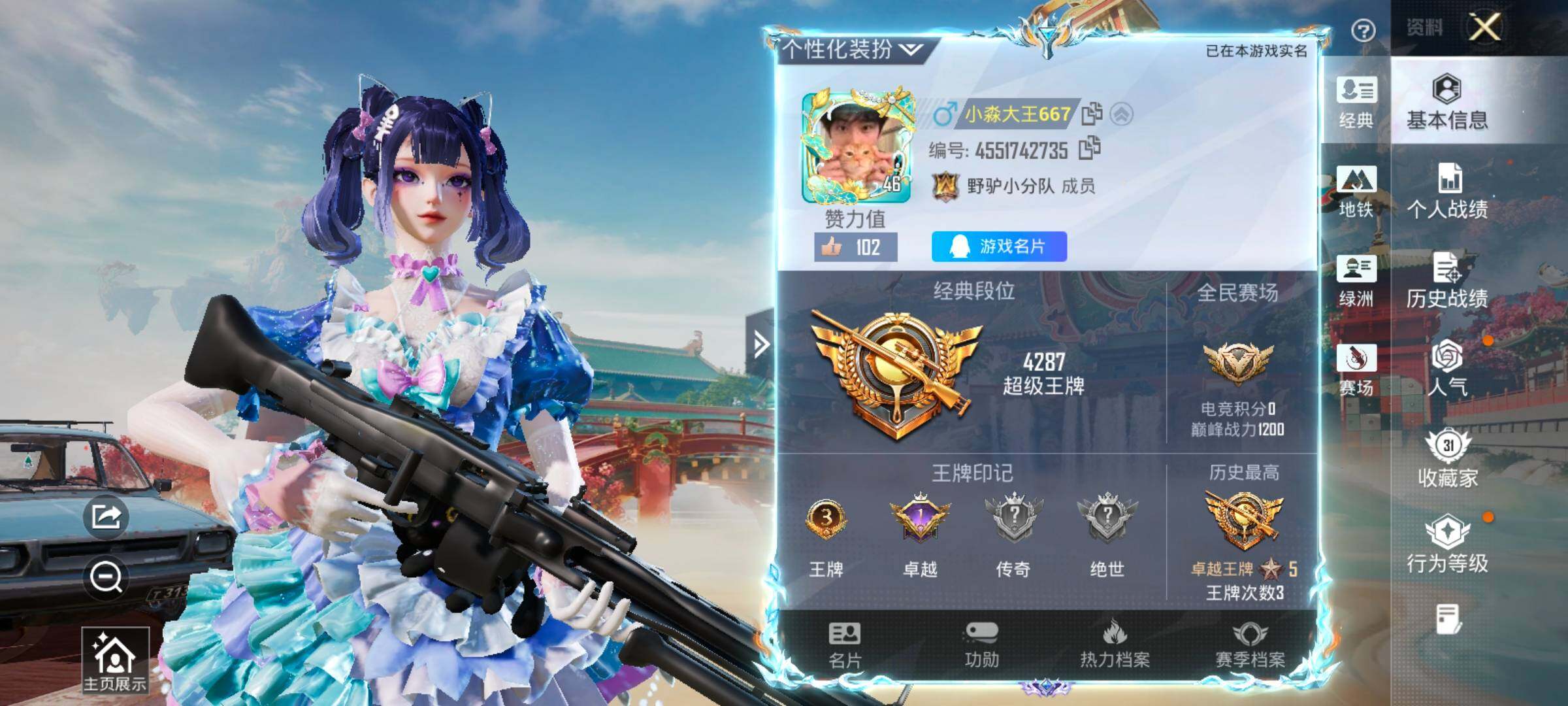 HPCMW4159417和平精英账号详情图2