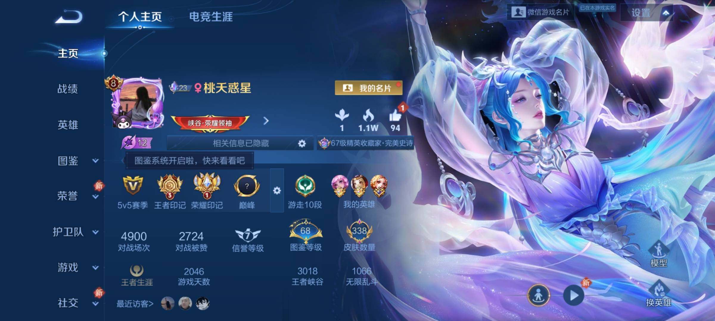 WZQM4245337王者荣耀账号详情图8