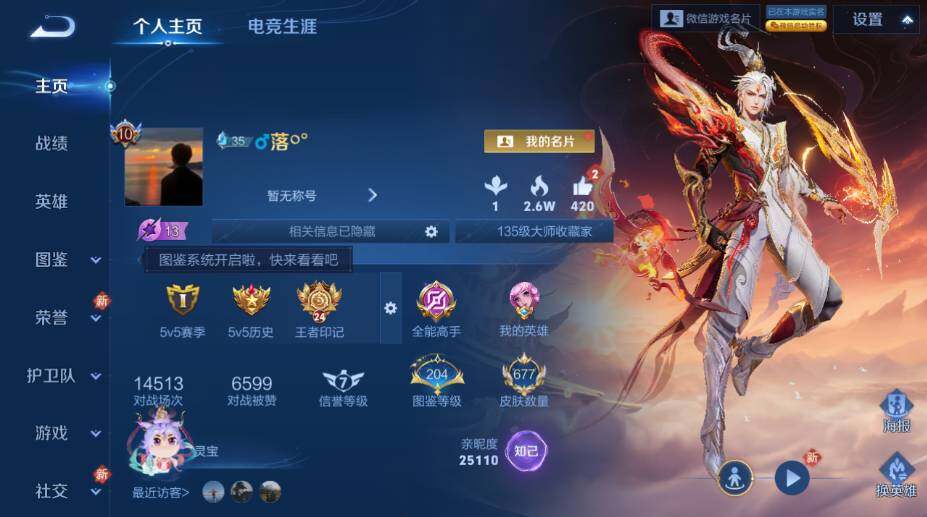 WZLX4245428王者荣耀账号详情图14