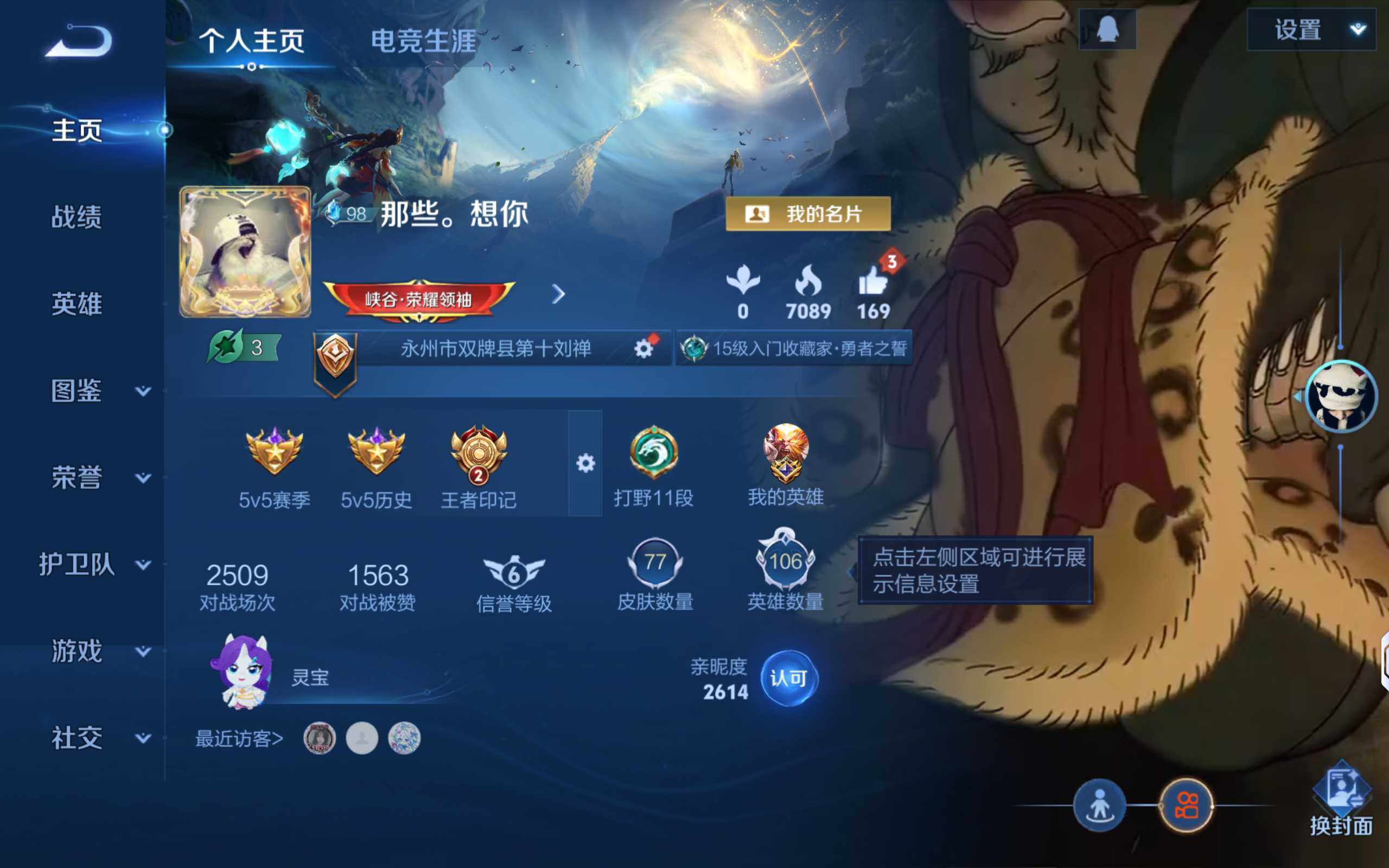 WZLX4247002王者荣耀账号详情图4