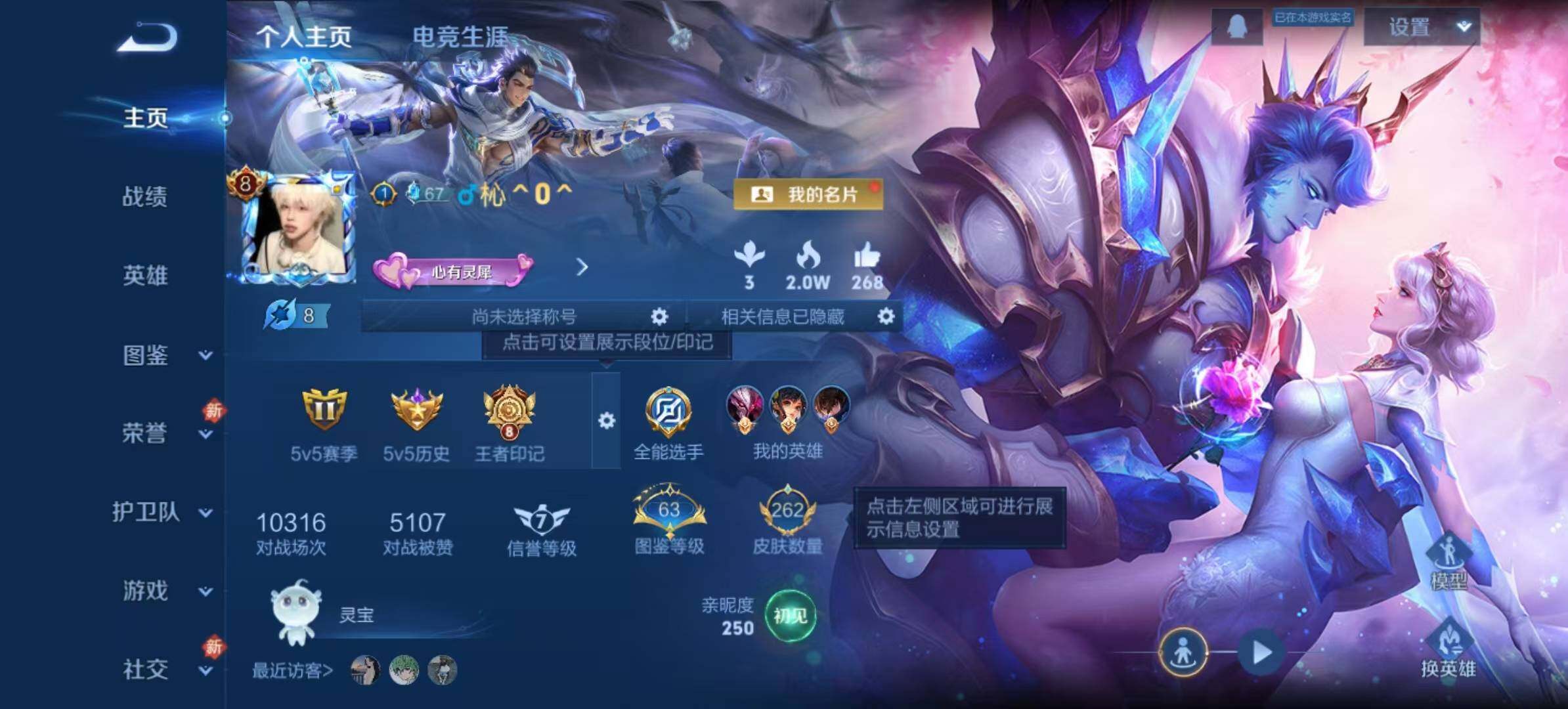WZLX4245827王者荣耀账号详情图11