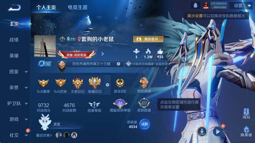 WZLX4246289王者荣耀账号详情图9