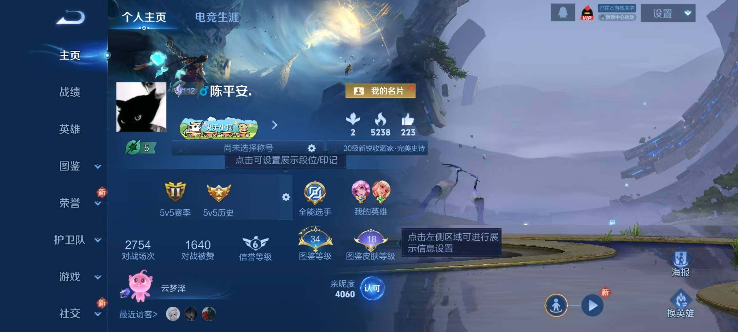 WZJZ4255098王者荣耀账号详情图5