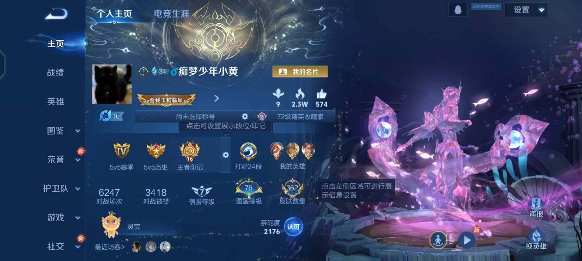 WZQM4250900王者荣耀账号详情图3