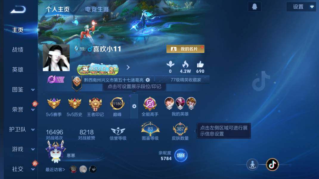 WZQM4248443王者荣耀账号详情图11