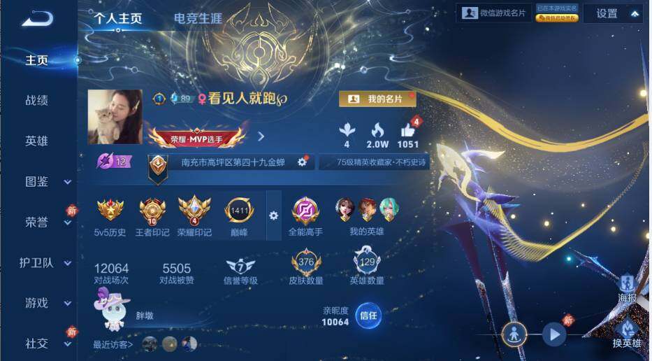 WZLX4248494王者荣耀账号详情图8