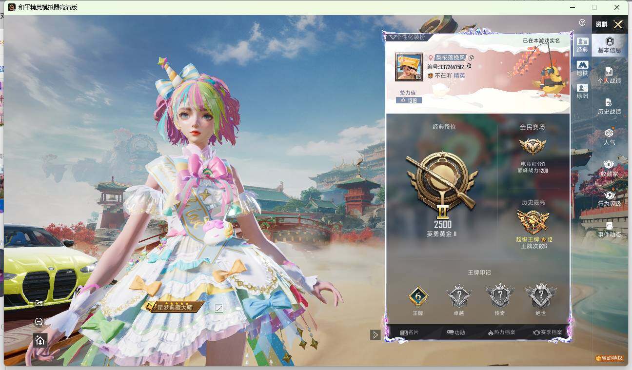 HPLX4137433和平精英账号详情图6 HPLX4137433和平精英账号详情图6