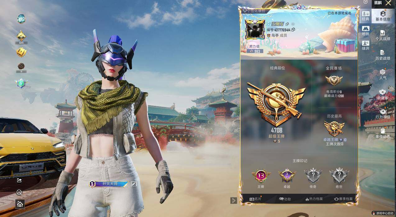 HPLE4139112和平精英账号详情图12