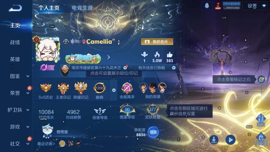 WZLX4251044王者荣耀账号详情图9