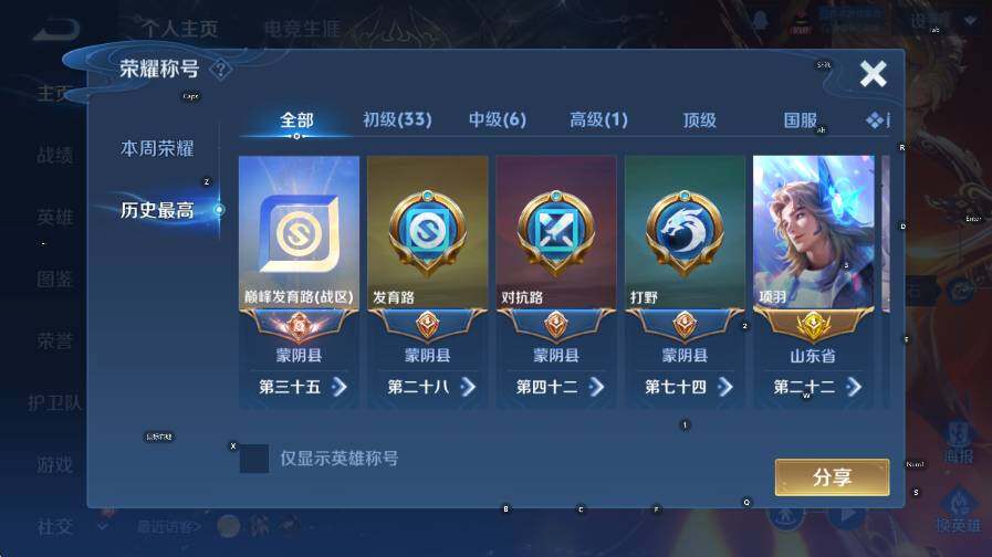 WZLX4251044王者荣耀账号详情图11