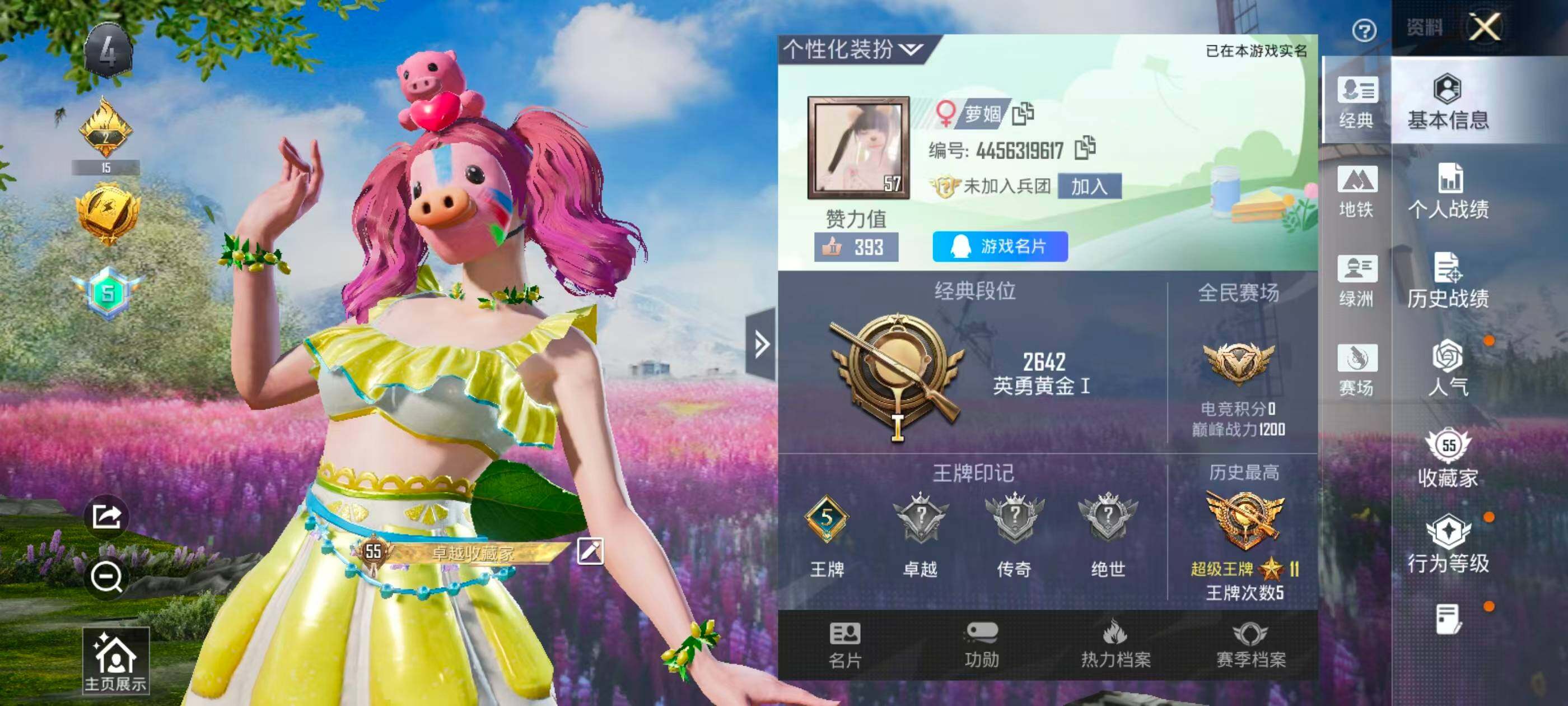 HPQM4149942和平精英账号详情图6