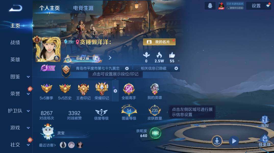 WZQM4254216王者荣耀账号详情图8