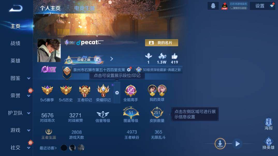 WZQM4255105王者荣耀账号详情图9