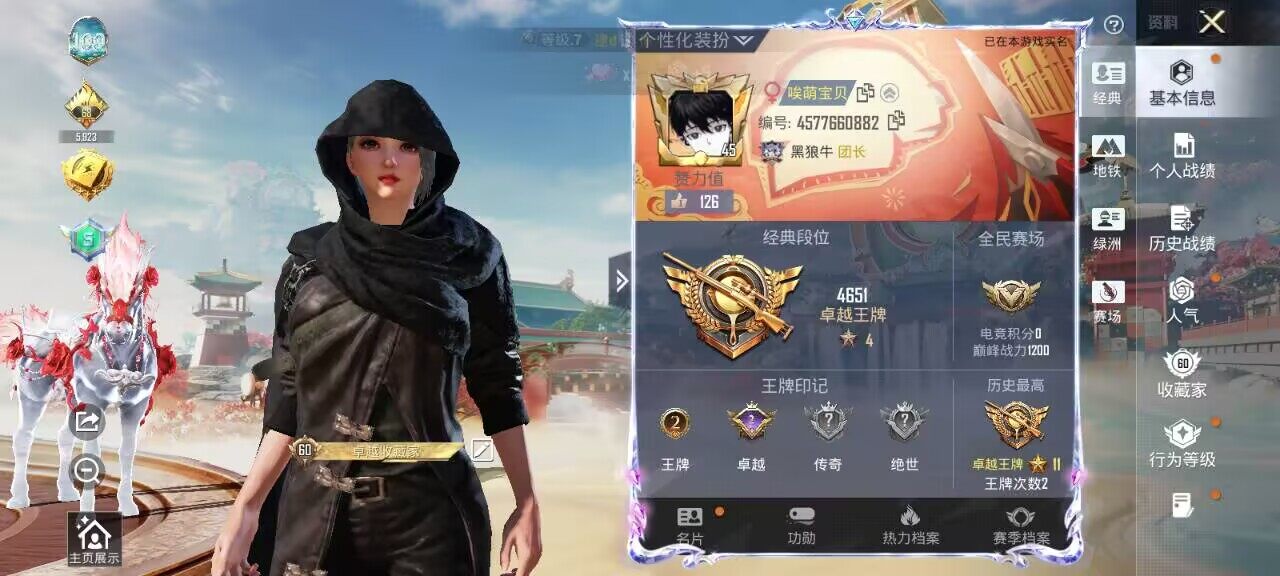 HPCMW4167398和平精英账号详情图5