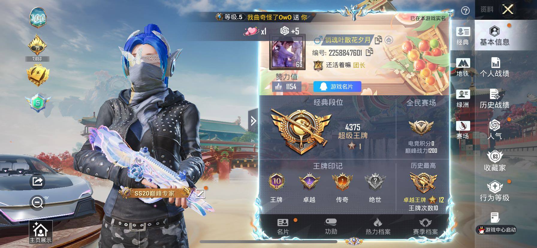 HPLE4140962和平精英账号详情图6