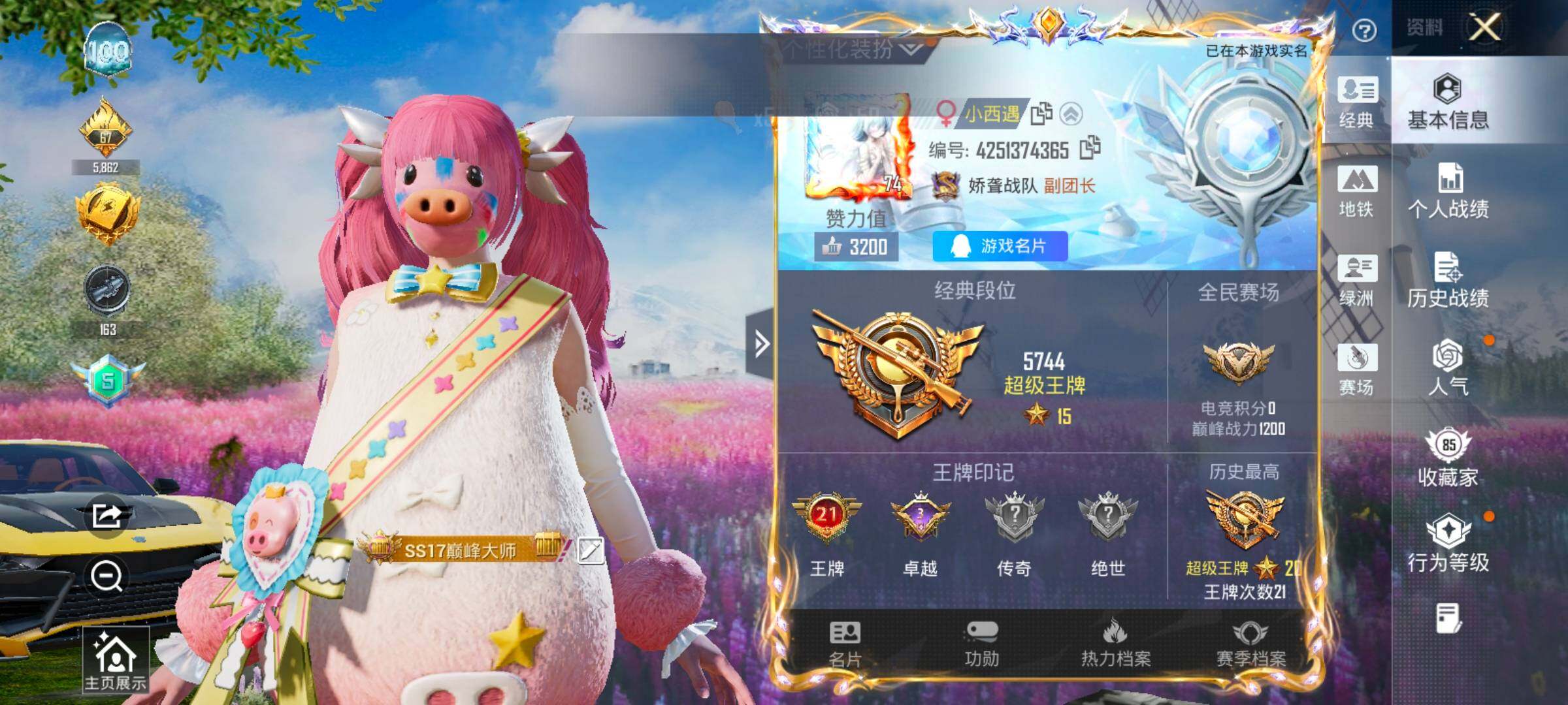 HPLX4143791和平精英账号详情图2