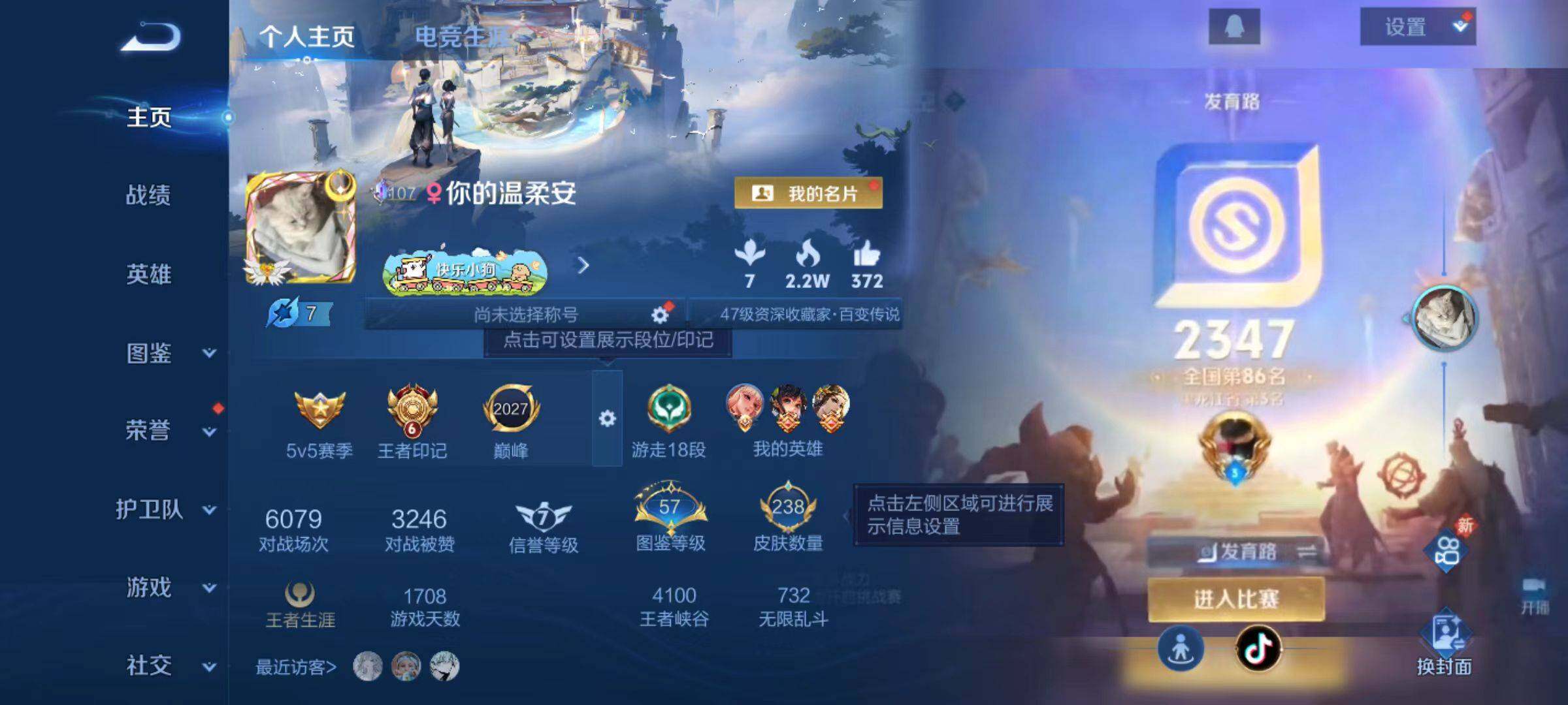 WZLX4257029王者荣耀账号详情图2