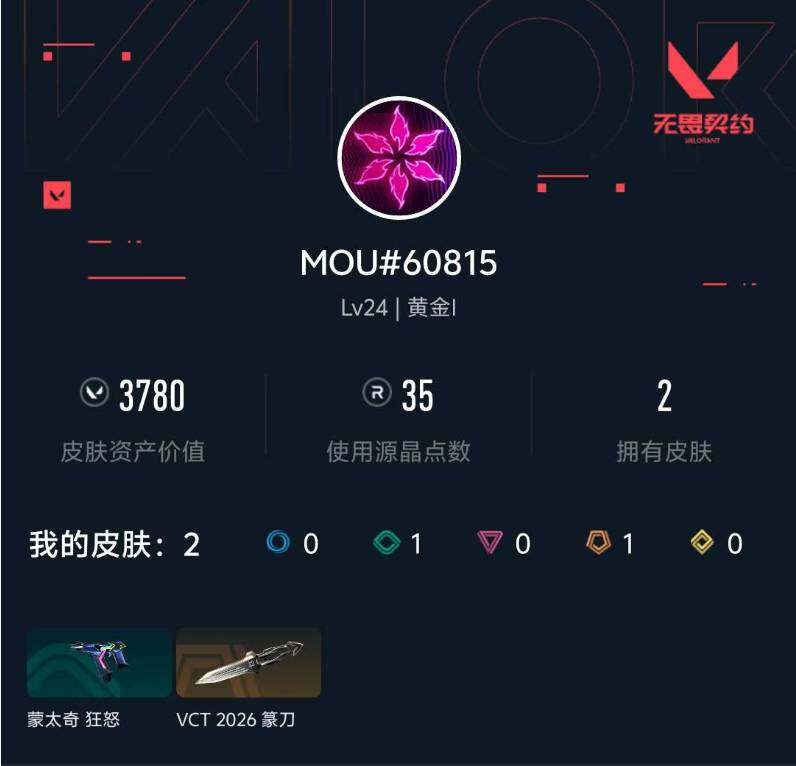 WWQXL423871无畏契约账号详情图3 WWQXL423871无畏契约账号详情图3