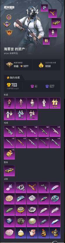 HPLE4142210和平精英账号详情图5 HPLE4142210和平精英账号详情图5