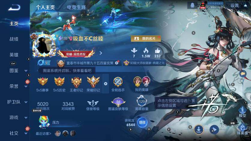 WZLX4259822王者荣耀账号详情图11