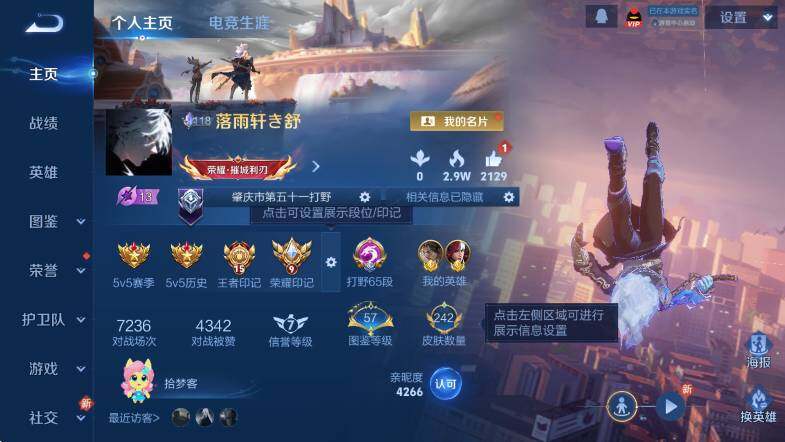 WZLX4258309王者荣耀账号详情图8