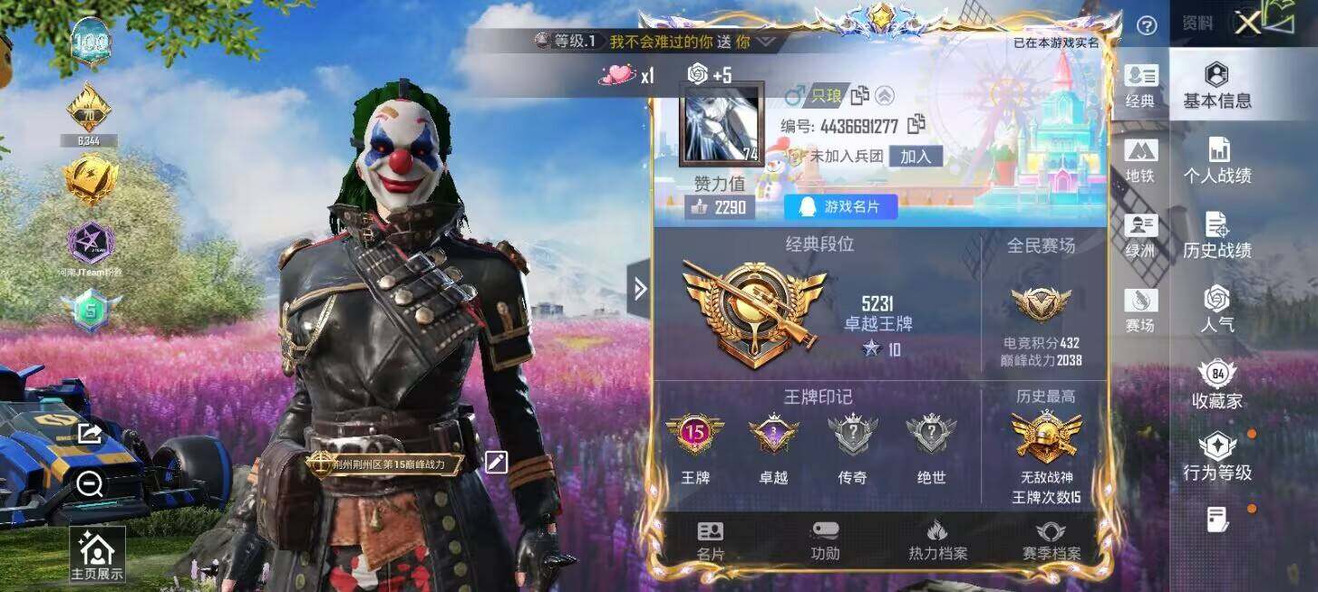 HPQM4157929和平精英账号详情图9