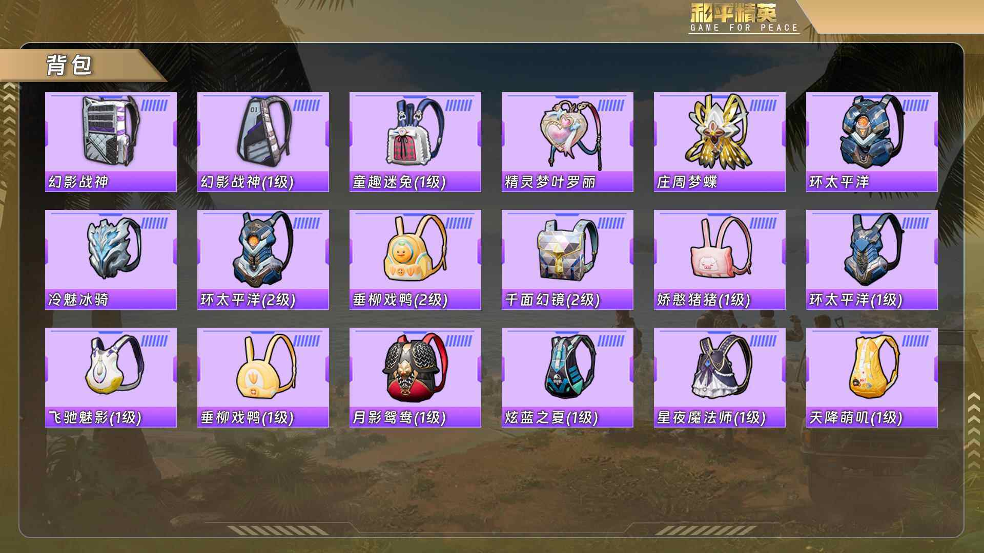 HPCMW4161200和平精英账号详情图9