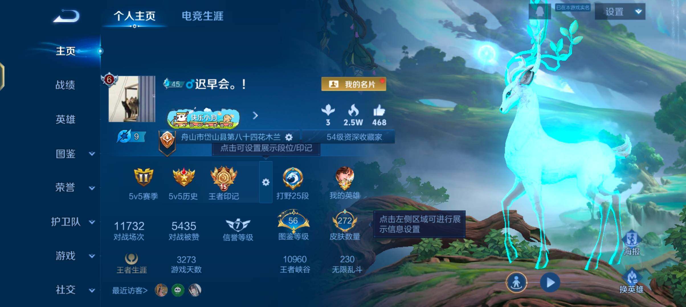 WZJZ4270106王者荣耀账号详情图8 WZJZ4270106王者荣耀账号详情图8