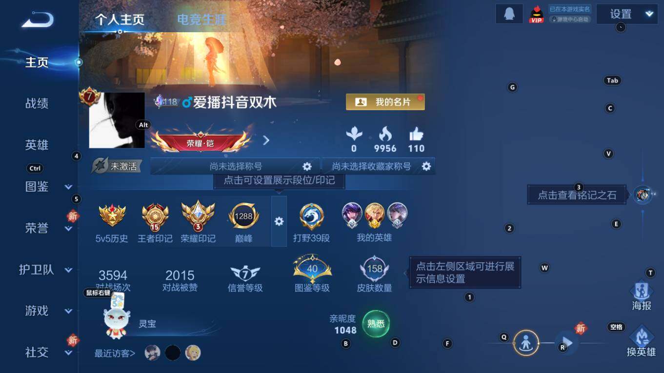 WZQM4276047王者荣耀账号详情图7