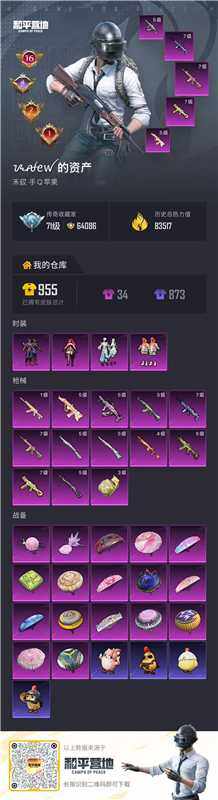 WZQM4266770王者荣耀账号详情图9 WZQM4266770王者荣耀账号详情图9