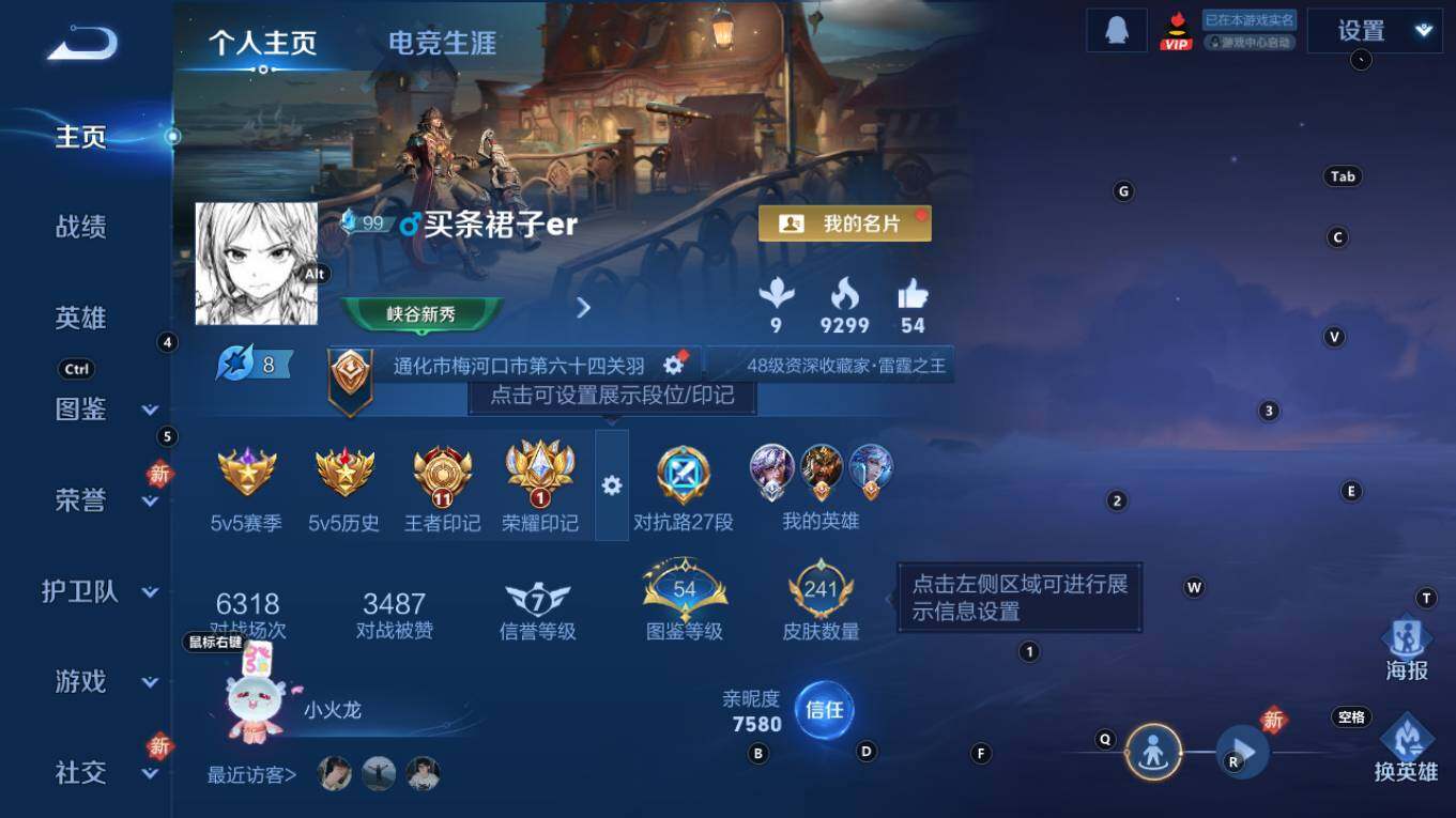 WZQM4270807王者荣耀账号详情图8